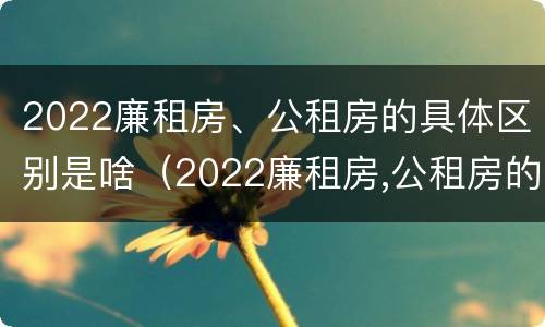 2022廉租房、公租房的具体区别是啥（2022廉租房,公租房的具体区别是啥呀）