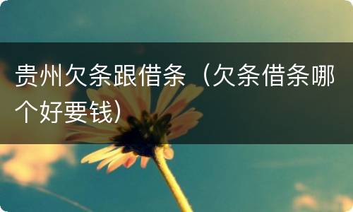 贵州欠条跟借条（欠条借条哪个好要钱）