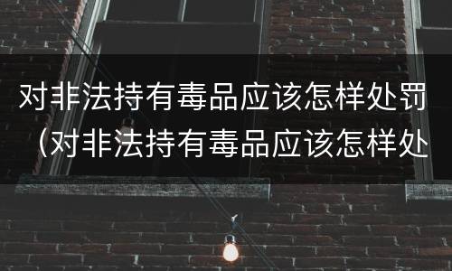对非法持有毒品应该怎样处罚（对非法持有毒品应该怎样处罚呢）
