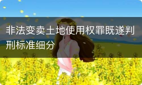 非法变卖土地使用权罪既遂判刑标准细分