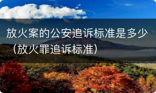 放火案的公安追诉标准是多少（放火罪追诉标准）