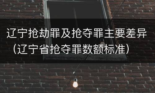 辽宁抢劫罪及抢夺罪主要差异（辽宁省抢夺罪数额标准）