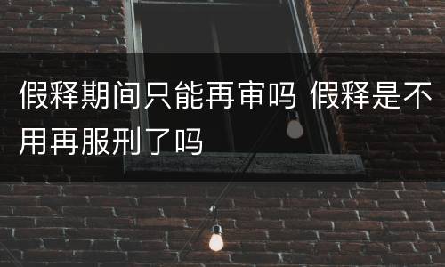 假释期间只能再审吗 假释是不用再服刑了吗