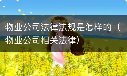 物业公司法律法规是怎样的（物业公司相关法律）