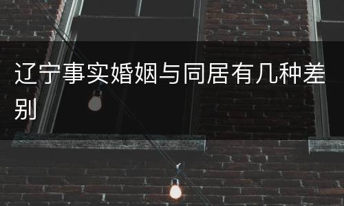 辽宁事实婚姻与同居有几种差别