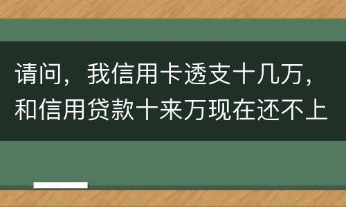 请问，我信用卡透支十几万，和信用贷款十来万现在还不上了。情节严重会咋样，怎么判刑