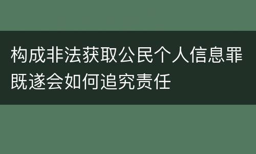 构成非法获取公民个人信息罪既遂会如何追究责任