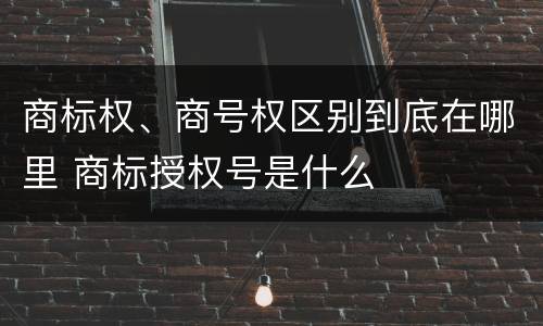 商标权、商号权区别到底在哪里 商标授权号是什么