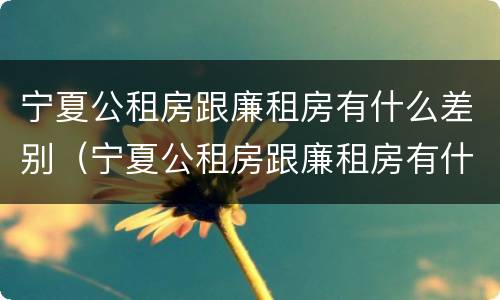 宁夏公租房跟廉租房有什么差别（宁夏公租房跟廉租房有什么差别嘛）