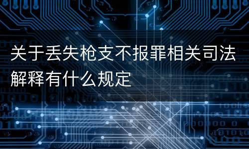 关于丢失枪支不报罪相关司法解释有什么规定