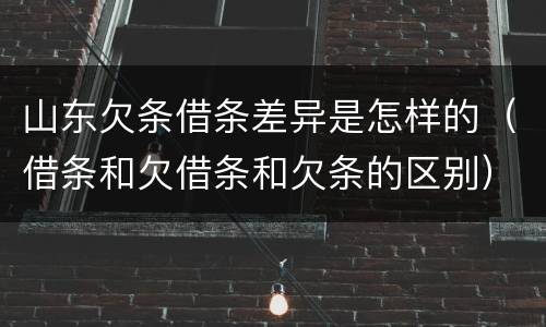 山东欠条借条差异是怎样的（借条和欠借条和欠条的区别）