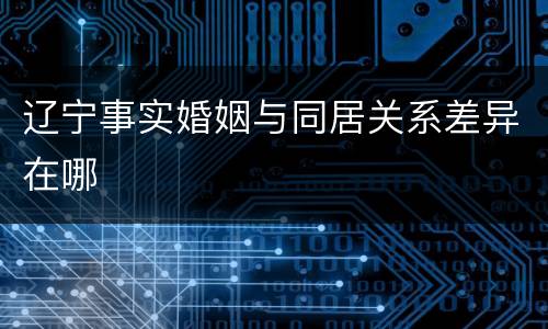 辽宁事实婚姻与同居关系差异在哪