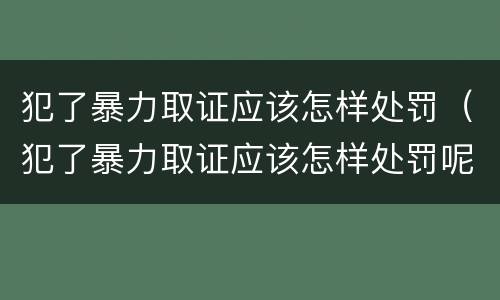 犯了暴力取证应该怎样处罚（犯了暴力取证应该怎样处罚呢）