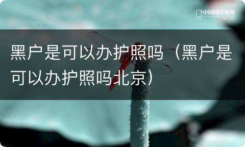 黑户是可以办护照吗（黑户是可以办护照吗北京）
