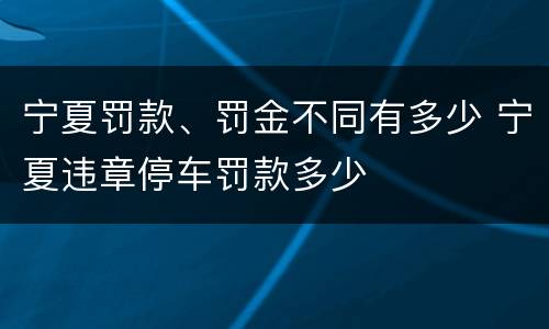 宁夏罚款、罚金不同有多少 宁夏违章停车罚款多少