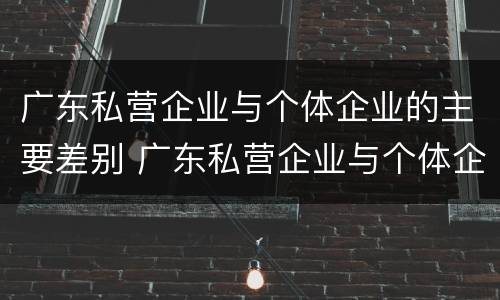 广东私营企业与个体企业的主要差别 广东私营企业与个体企业的主要差别是什么