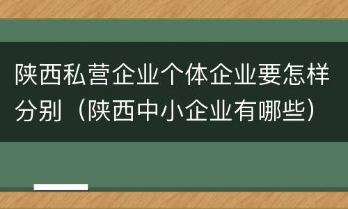 陕西私营企业个体企业要怎样分别（陕西中小企业有哪些）