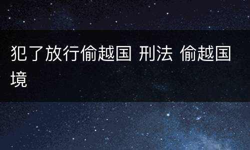 犯了放行偷越国 刑法 偷越国境