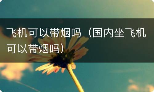 飞机可以带烟吗（国内坐飞机可以带烟吗）