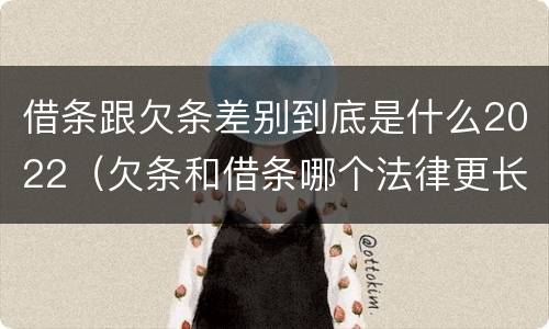 借条跟欠条差别到底是什么2022（欠条和借条哪个法律更长）