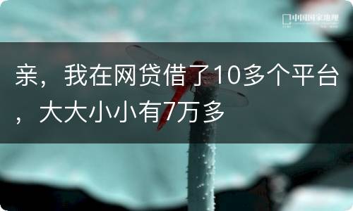 亲，我在网贷借了10多个平台，大大小小有7万多