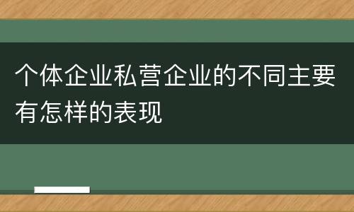 个体企业私营企业的不同主要有怎样的表现