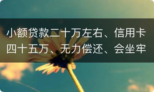 小额贷款二十万左右、信用卡四十五万、无力偿还、会坐牢