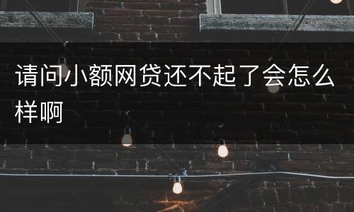 请问小额网贷还不起了会怎么样啊
