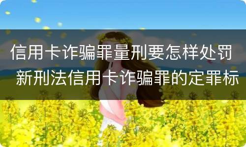 信用卡诈骗罪量刑要怎样处罚 新刑法信用卡诈骗罪的定罪标准?