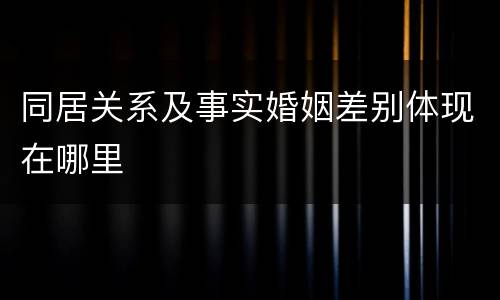 同居关系及事实婚姻差别体现在哪里