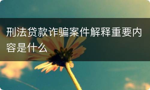 刑法贷款诈骗案件解释重要内容是什么
