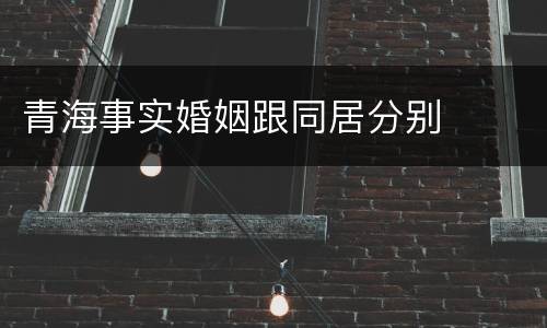 青海事实婚姻跟同居分别