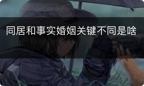 同居和事实婚姻关键不同是啥