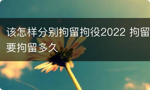 该怎样分别拘留拘役2022 拘留要拘留多久