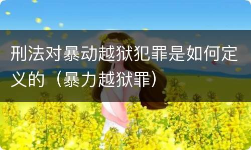 刑法对暴动越狱犯罪是如何定义的（暴力越狱罪）