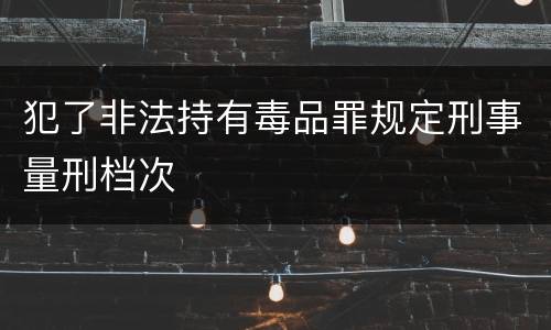 犯了非法持有毒品罪规定刑事量刑档次