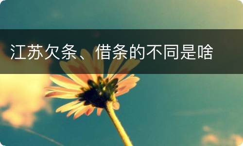 江苏欠条、借条的不同是啥