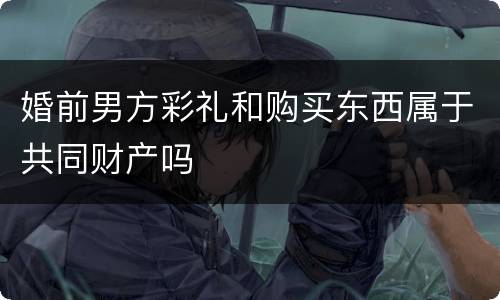 婚前男方彩礼和购买东西属于共同财产吗