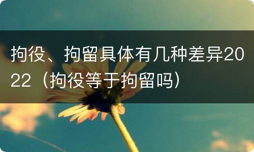 拘役、拘留具体有几种差异2022（拘役等于拘留吗）