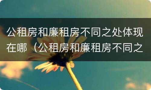 公租房和廉租房不同之处体现在哪（公租房和廉租房不同之处体现在哪里）