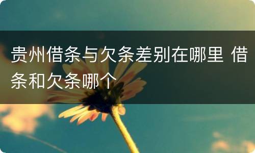 贵州借条与欠条差别在哪里 借条和欠条哪个