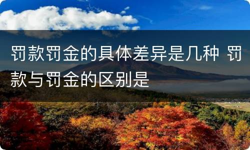 罚款罚金的具体差异是几种 罚款与罚金的区别是