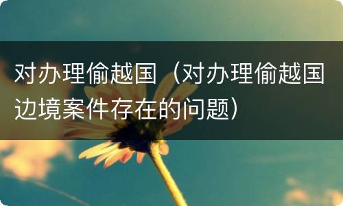 对办理偷越国（对办理偷越国边境案件存在的问题）
