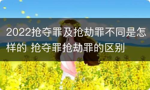 2022抢夺罪及抢劫罪不同是怎样的 抢夺罪抢劫罪的区别