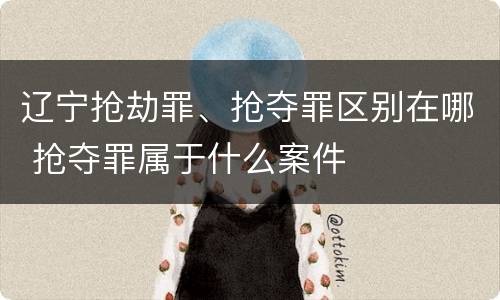 辽宁抢劫罪、抢夺罪区别在哪 抢夺罪属于什么案件