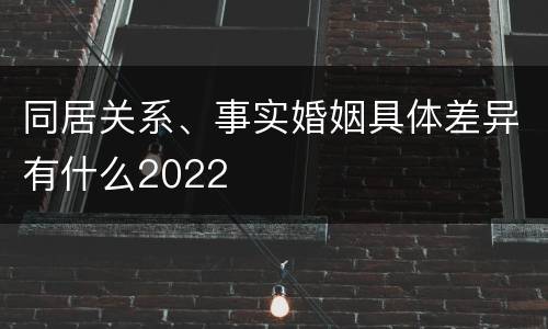 同居关系、事实婚姻具体差异有什么2022