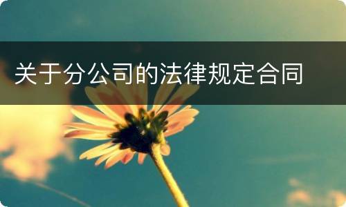 关于分公司的法律规定合同