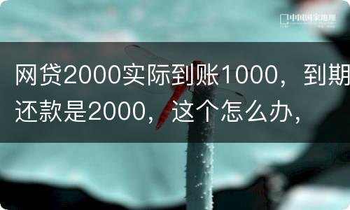 网贷2000实际到账1000，到期还款是2000，这个怎么办，