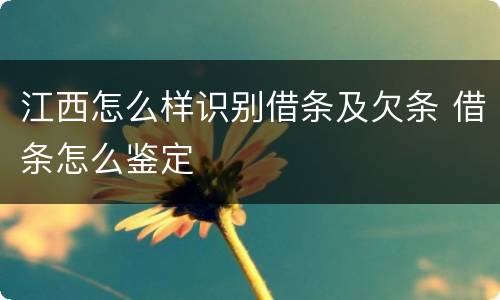 江西怎么样识别借条及欠条 借条怎么鉴定