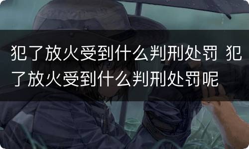 犯了放火受到什么判刑处罚 犯了放火受到什么判刑处罚呢